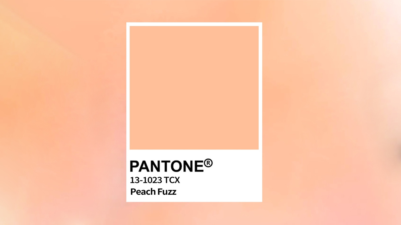 Cor Pantone de 2024: inspire-se para a decoração da sua empresa