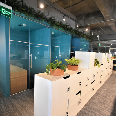 Design regenerativo: escritórios que devolvem mais do que consomem